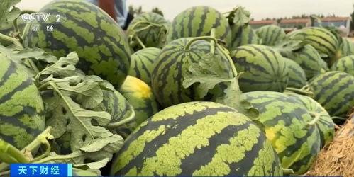 黑料吃瓜网热点大瓜蘑菇