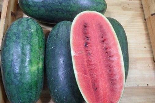 赵梓婷吃瓜黑料网,吃瓜黑料背后的真相与争议